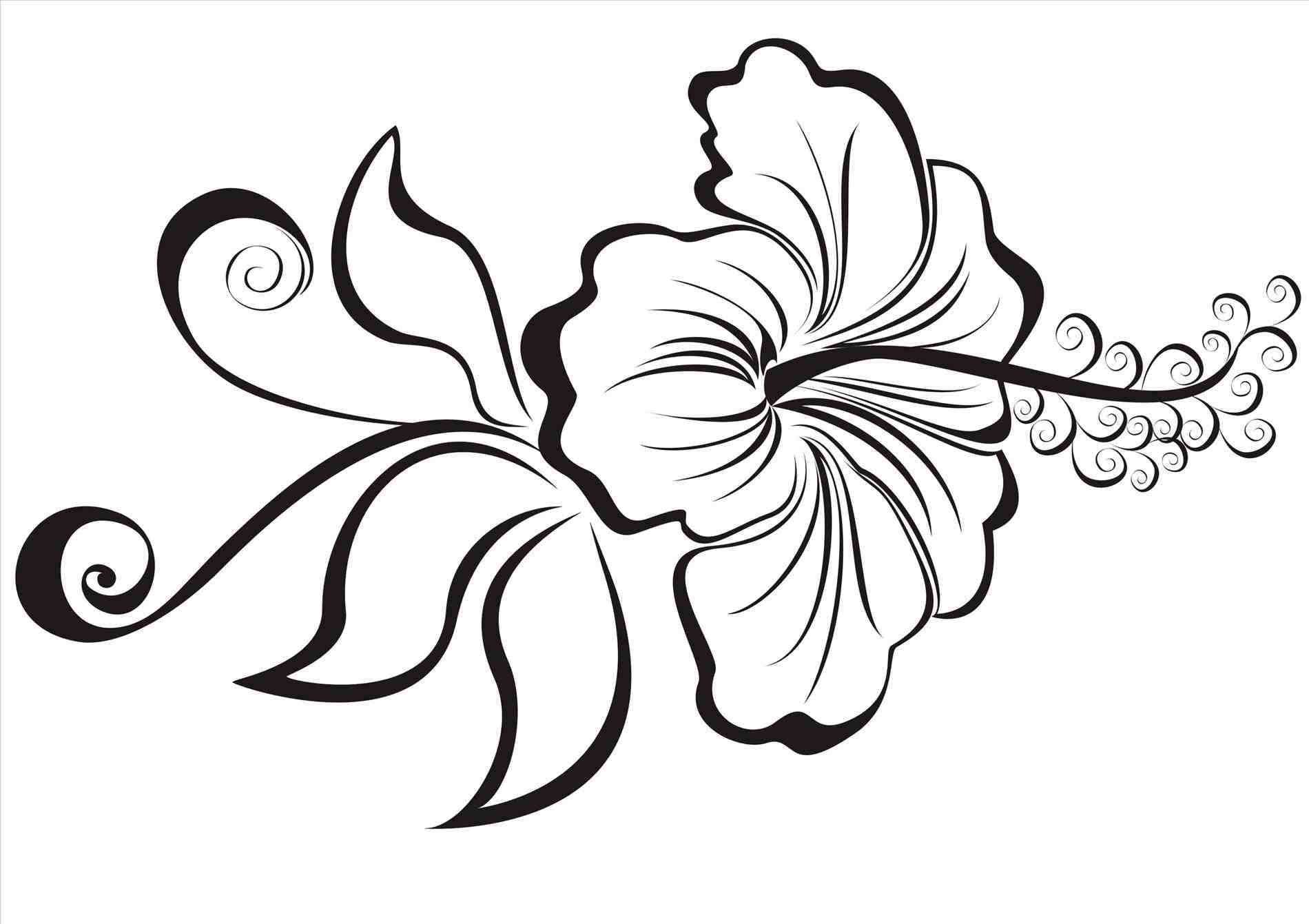 Cartoon How To Draw A Hawaiian Flower Sketch 