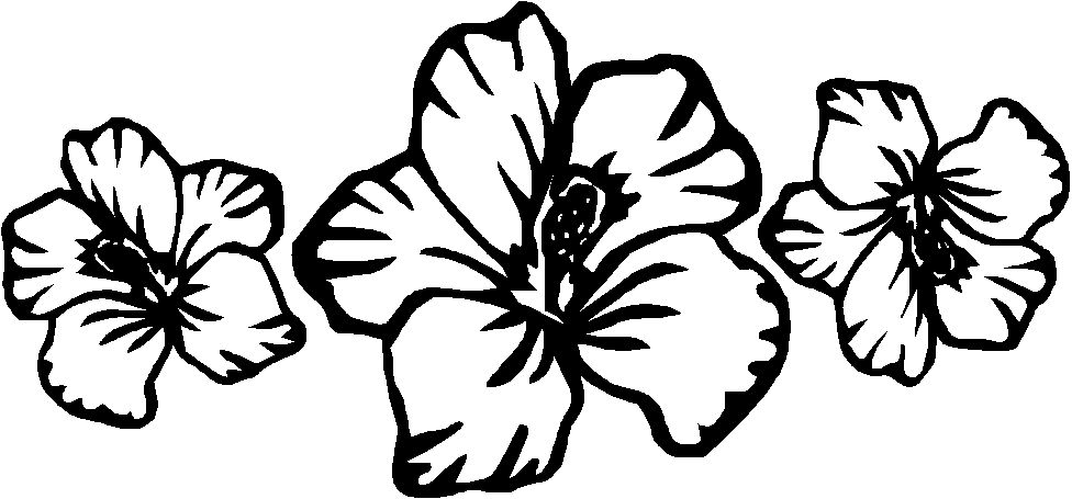Hawaiian Flower Images | Free download on ClipArtMag