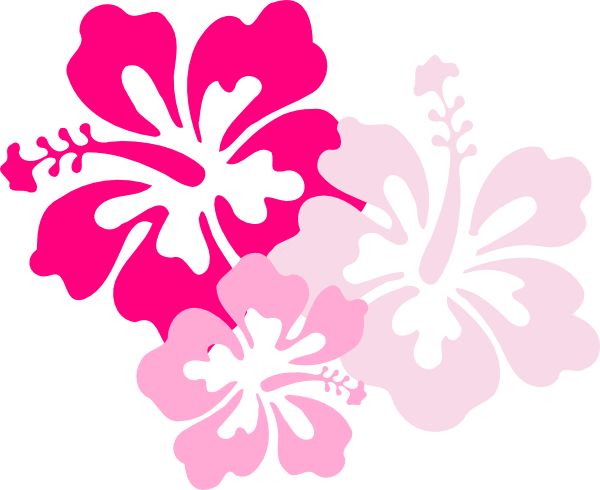 Hawaiian Flower Outline | Free download on ClipArtMag