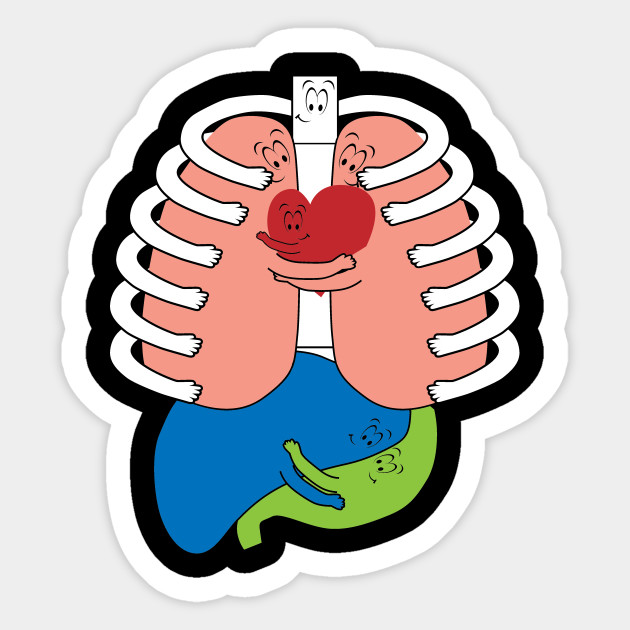 Heart And Lungs Clipart