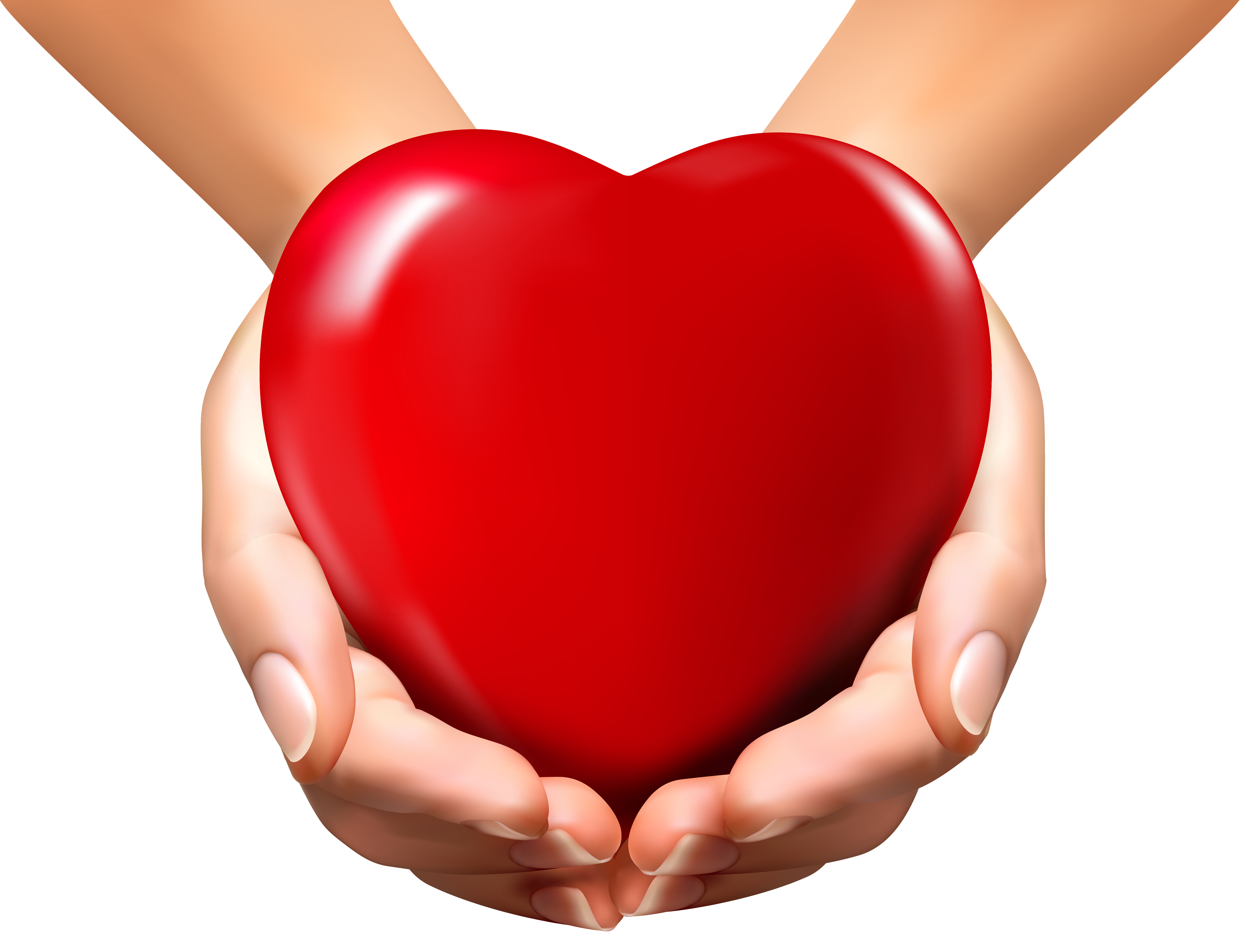 heart-in-hands-clipart-free-download-on-clipartmag