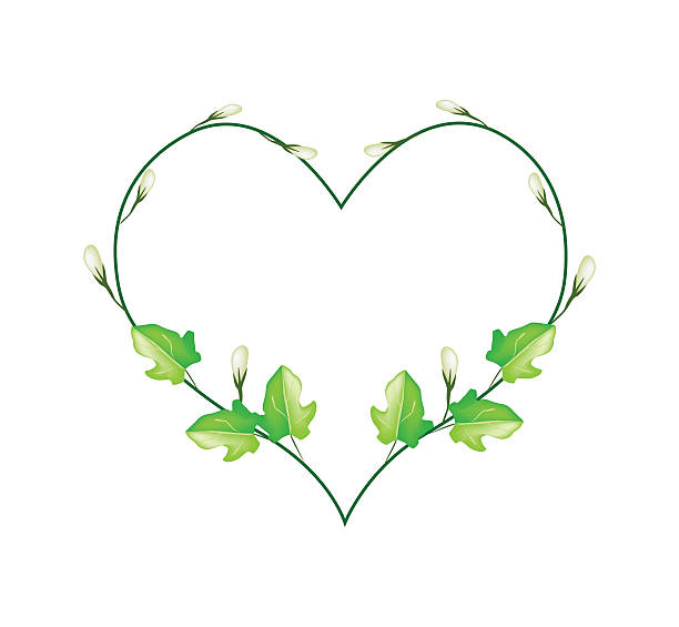 Heart Vine Clipart | Free download on ClipArtMag