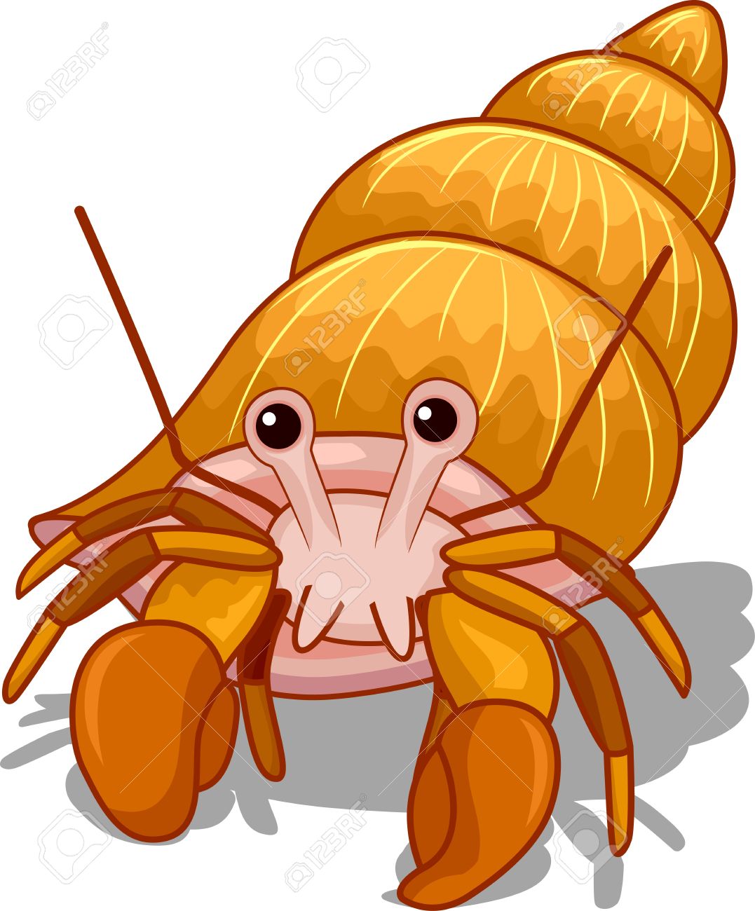 Hermit Crabs Clipart | Free download on ClipArtMag
