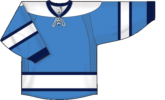 pittsburgh penguins baby blue jersey