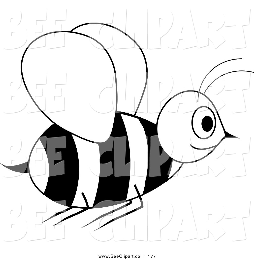 Honey Bee Clipart Black And White Free Download Best Honey Bee