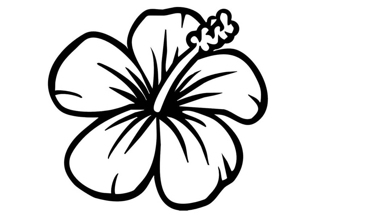 How To Draw A Hawaiian Flower Free download on ClipArtMag