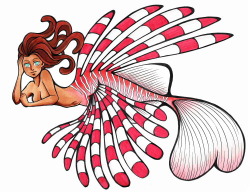 how-to-draw-a-lionfish-step-by-step-free-download-on-clipartmag