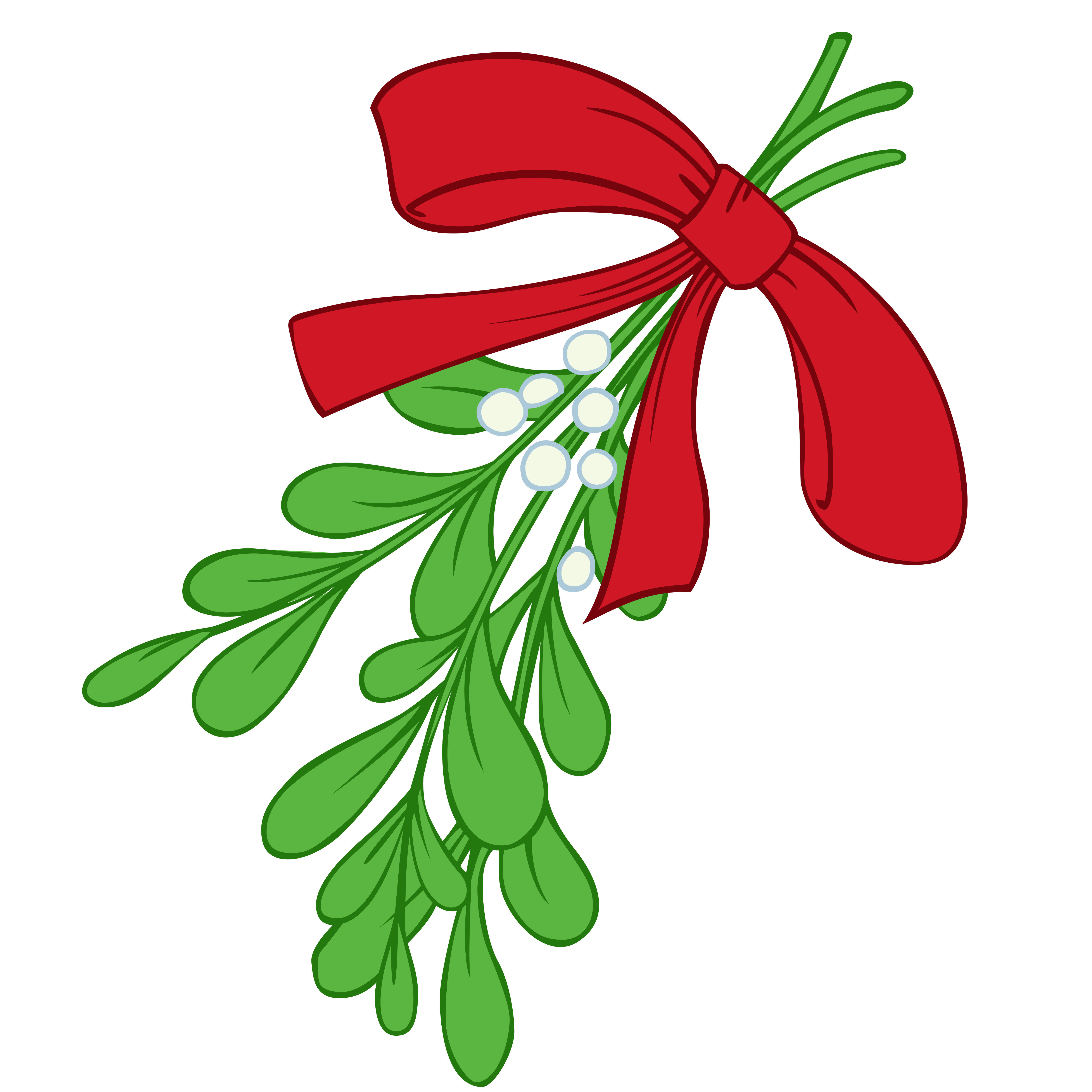 mistletoe image