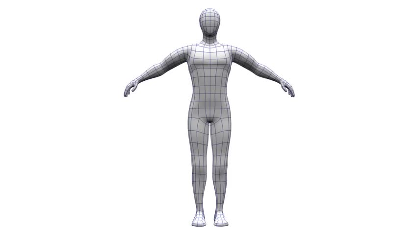 3d human model for drawing