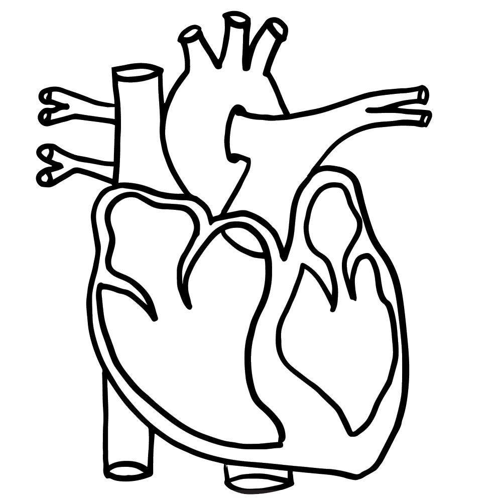 Human Heart Clipart Black And White | Free download on ...