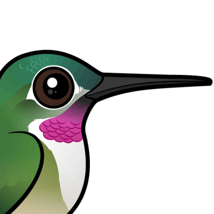 Hummingbird Cartoon Images | Free download on ClipArtMag