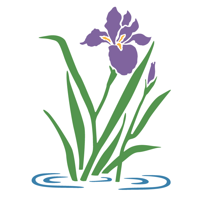 Iris Flower Clipart | Free download on ClipArtMag