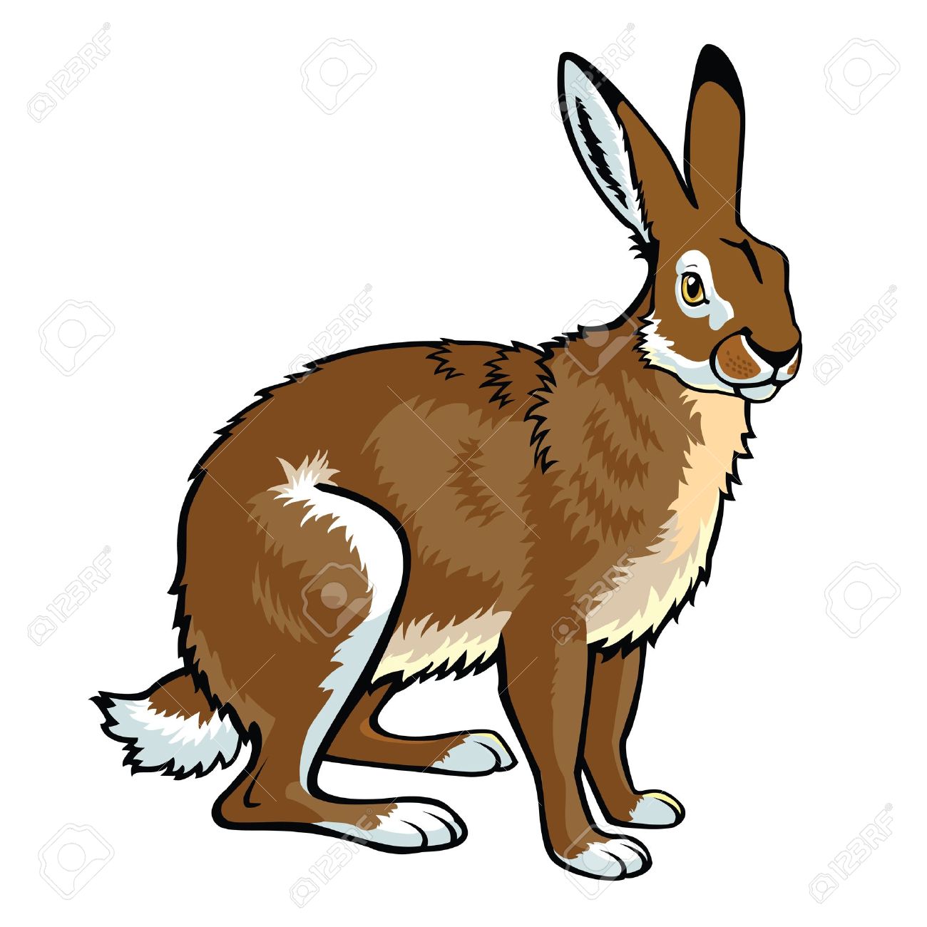 Jackrabbit Clipart | Free download on ClipArtMag