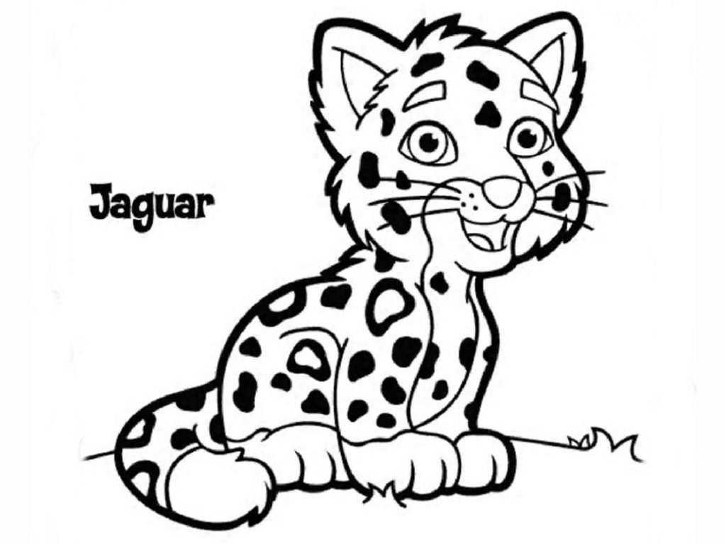 Jaguar Coloring Pages  Free download on ClipArtMag
