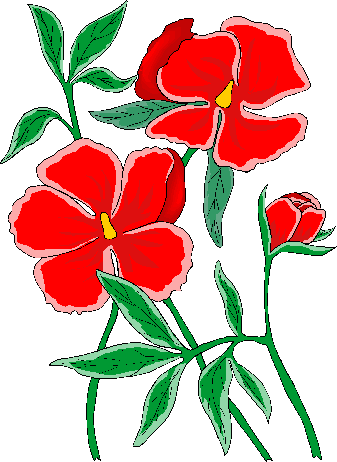 Japanese Flower Clipart Free Download On Clipartmag