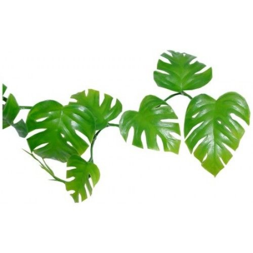 Jungle Leaves Clipart | Free download on ClipArtMag