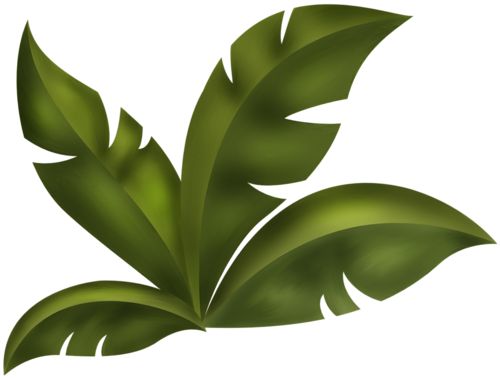 Jungle Vines Clipart | Free download on ClipArtMag