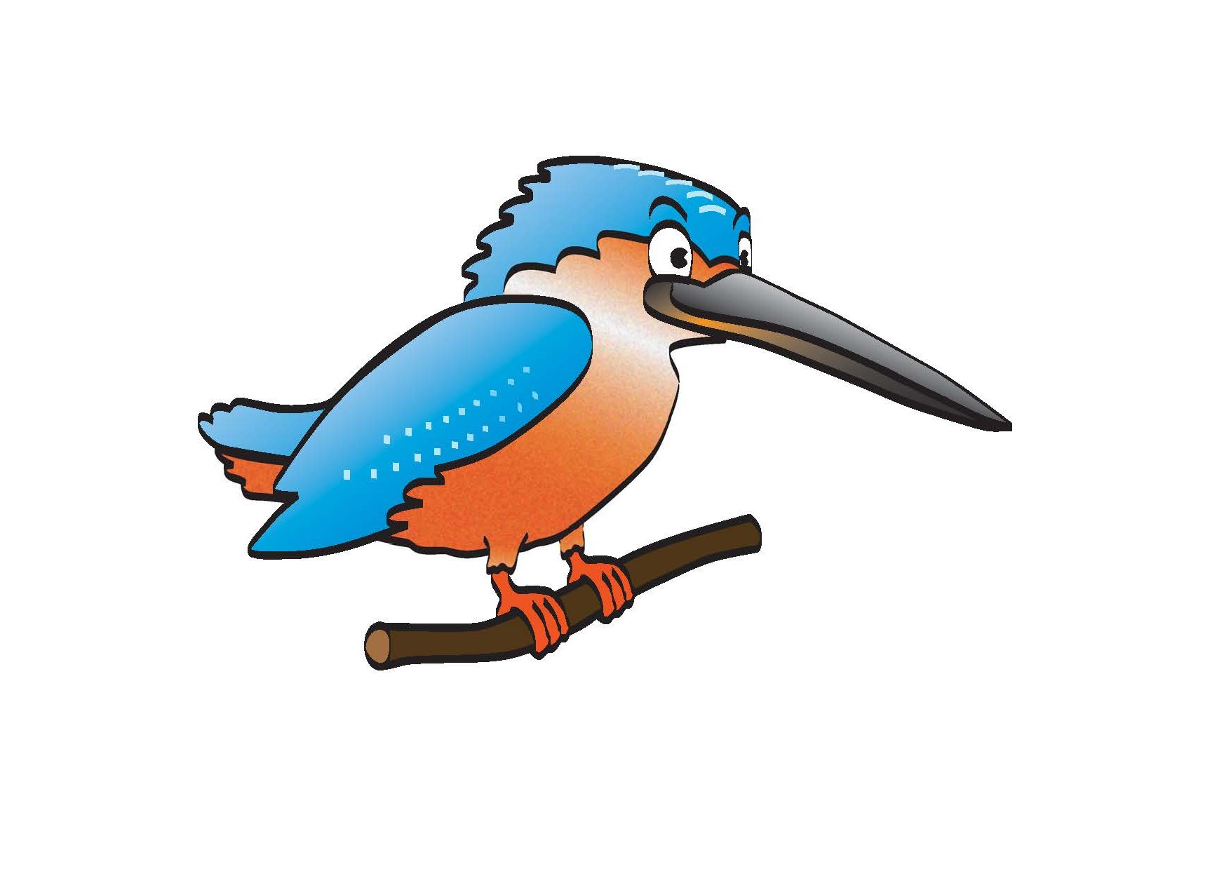 Kingfisher Bird Clipart | Free download on ClipArtMag