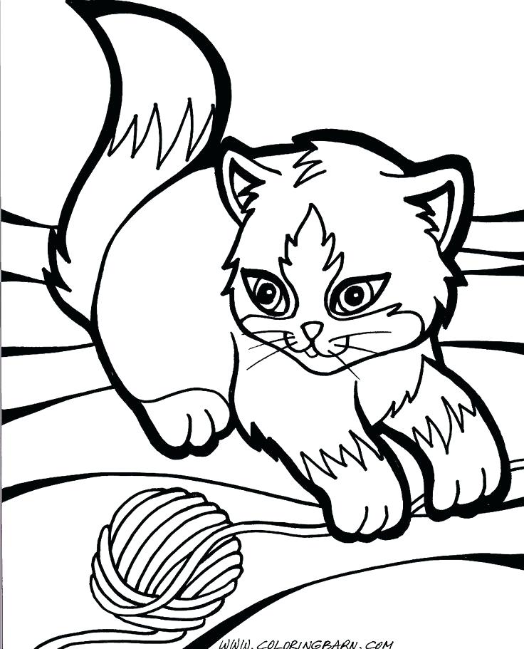 Kitten Coloring Pages | Free download on ClipArtMag