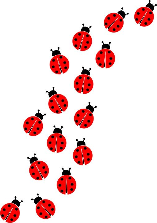 Ladybug Wallpaper Cliparts | Free download on ClipArtMag