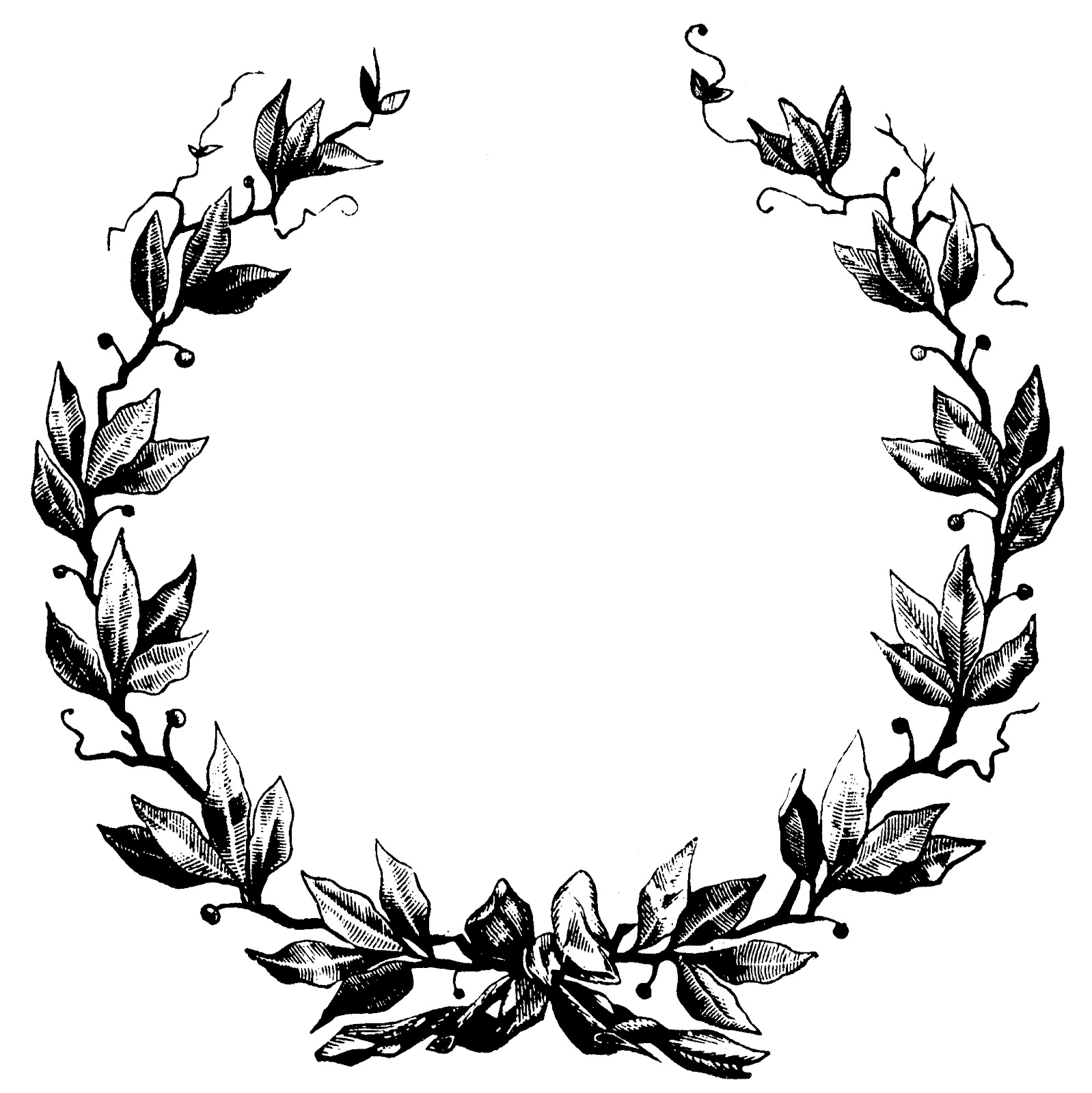 Laurel Leaf Clip Art Free Download On Clipartmag