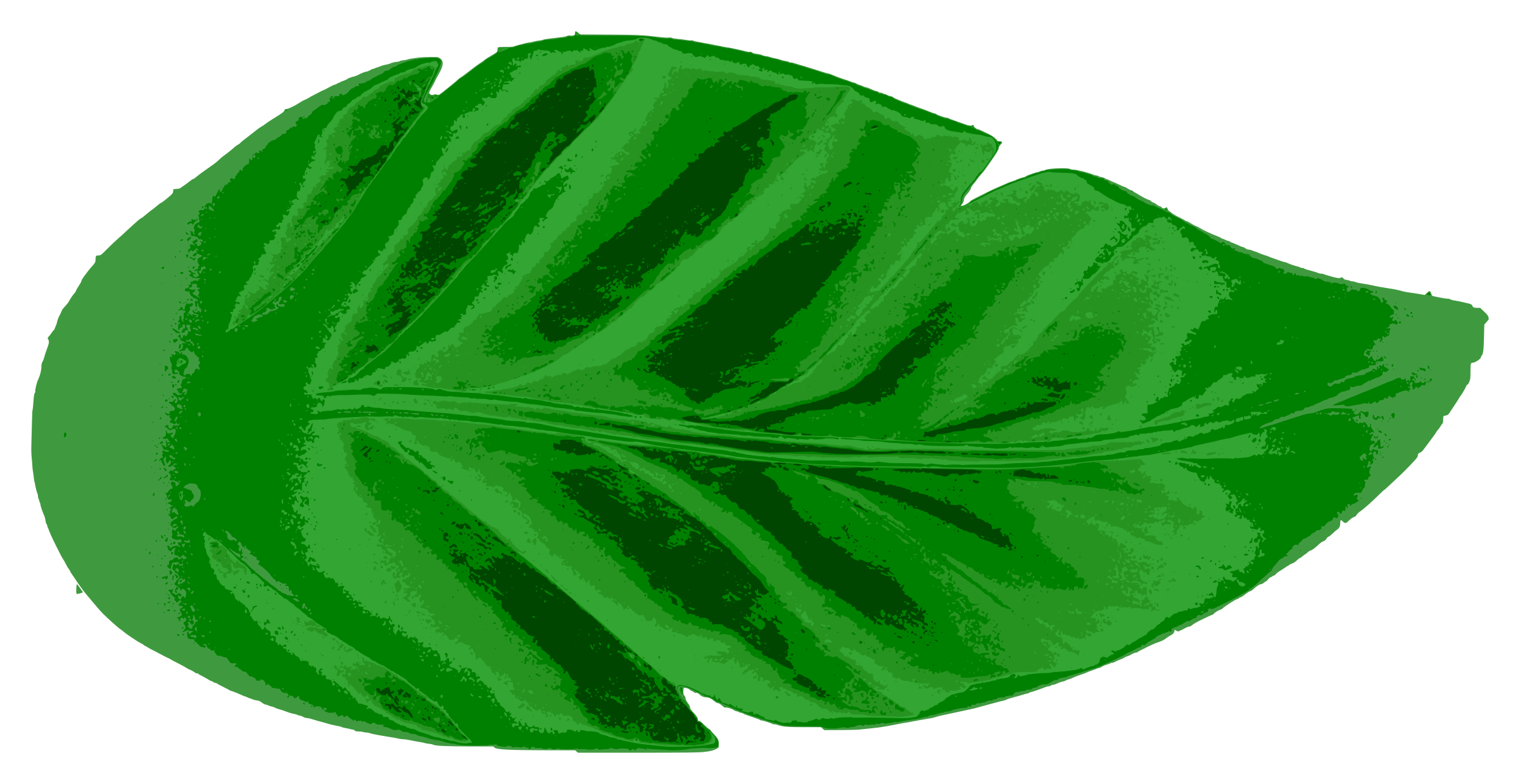 Leaf Image | Free download on ClipArtMag