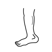 Leg Clipart 