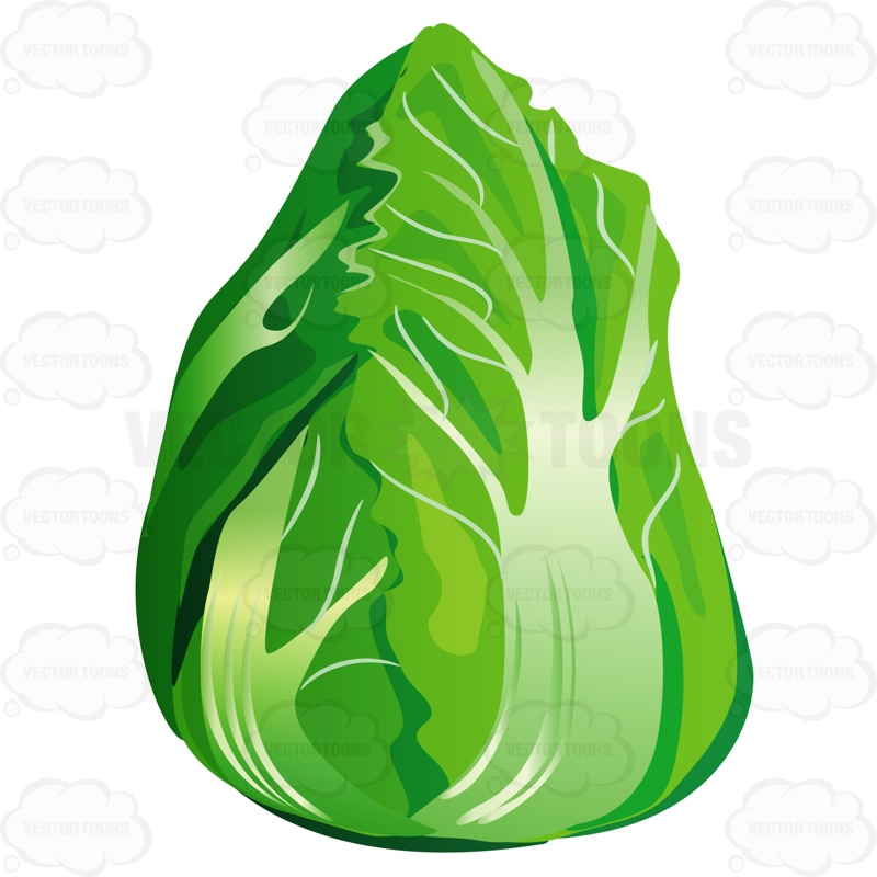 Lettuce Cartoon | Free download on ClipArtMag