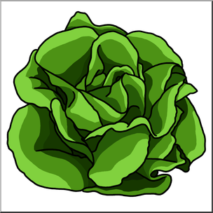 Lettuce Clipart | Free download best Lettuce Clipart on ...
