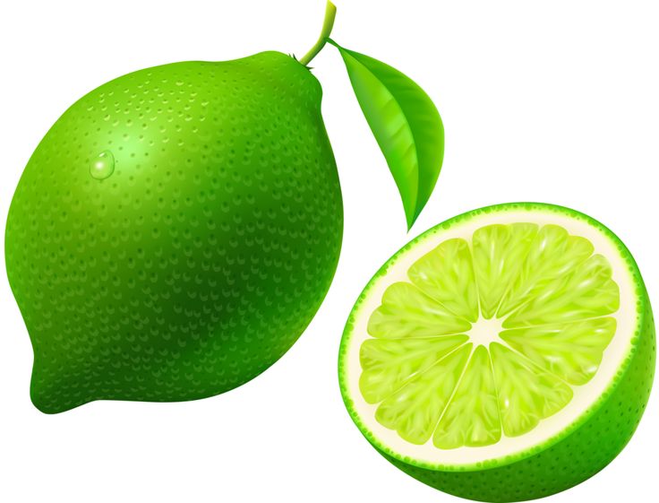 Lime Clipart | Free download on ClipArtMag