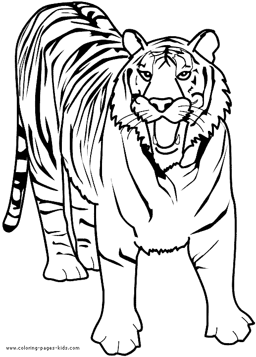 African Lion Coloring Pages