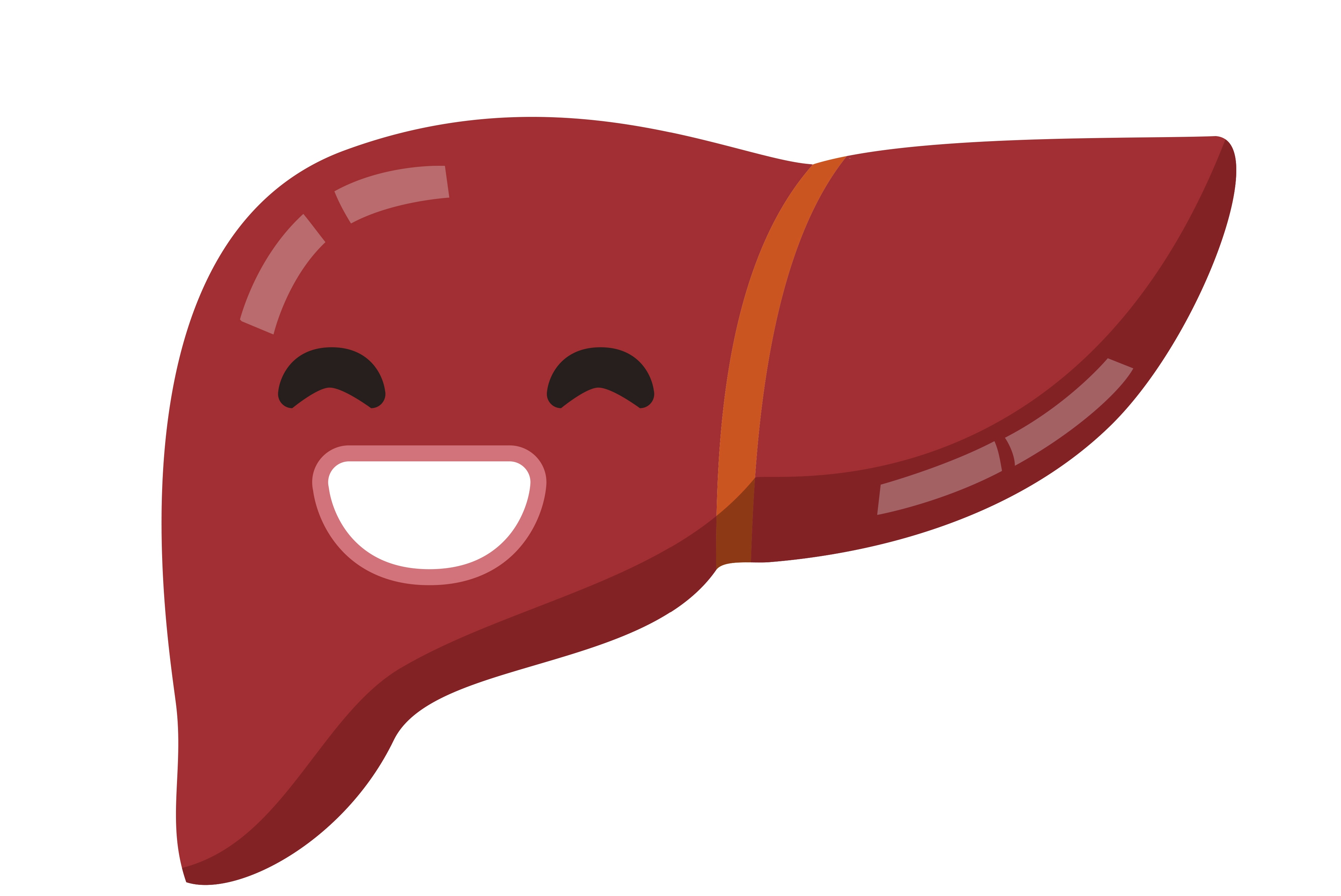 Liver Clipart Free | Free download on ClipArtMag