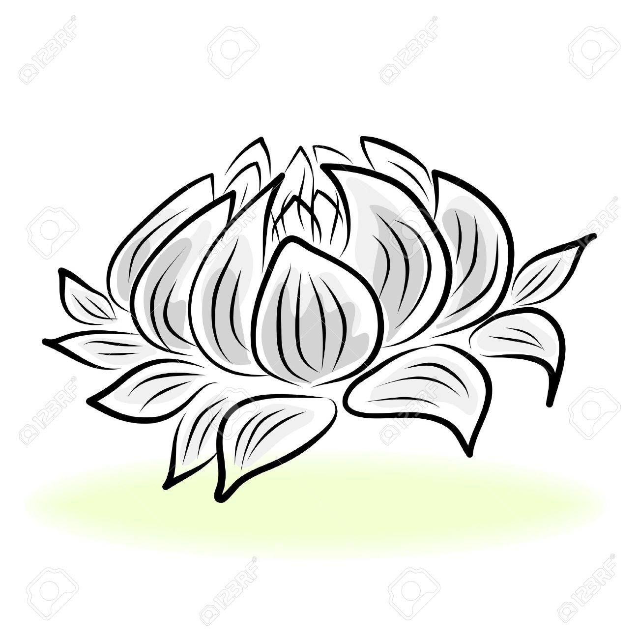 Lotus Flower Line Drawing | Free download on ClipArtMag