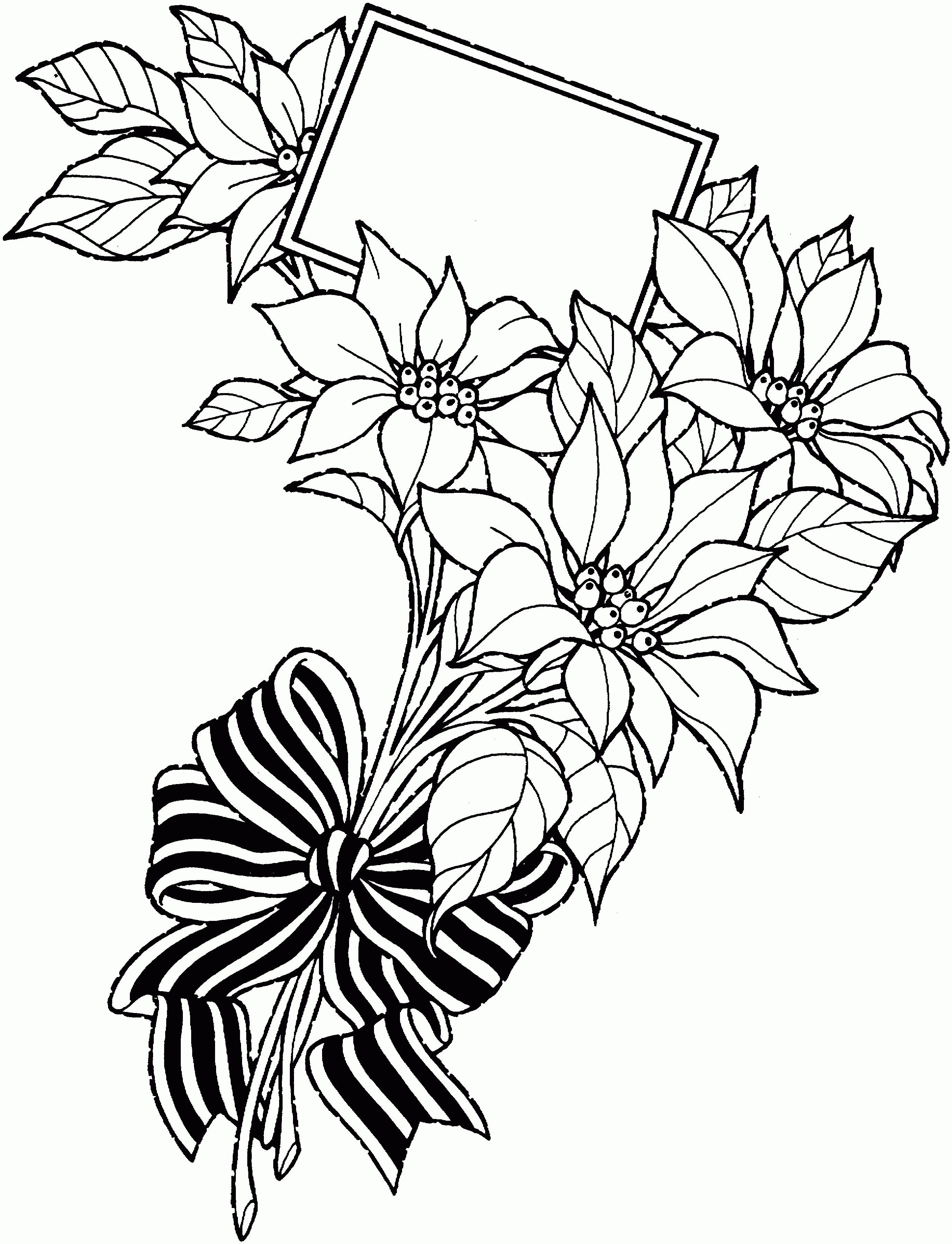 lotus flower line drawing