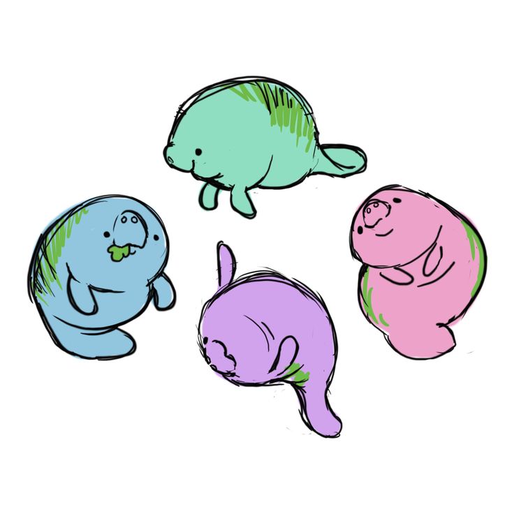 Manatee Clipart | Free download on ClipArtMag
