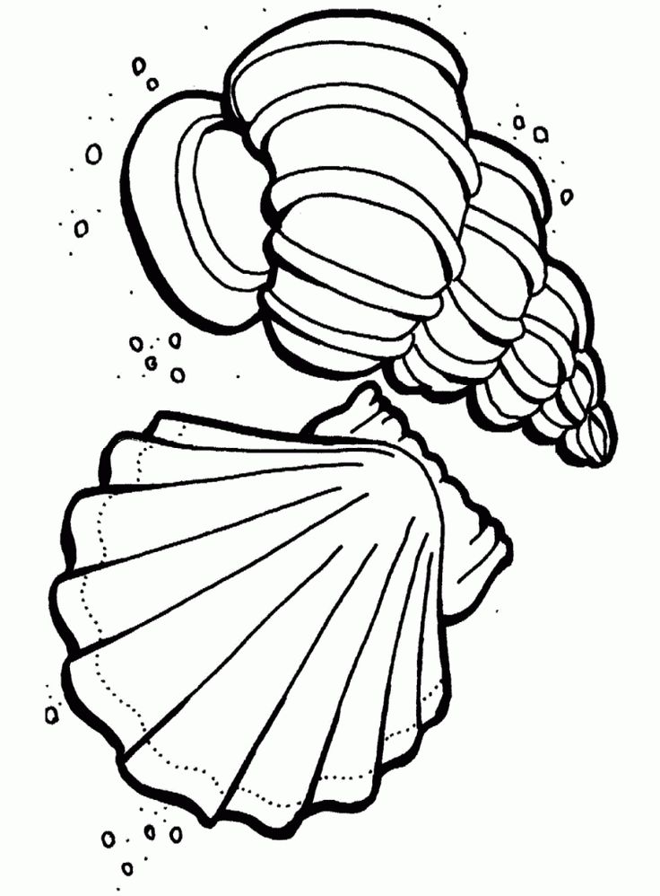 Manatee Coloring Page Free Download On ClipArtMag