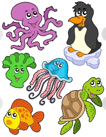 Marine Animals Clipart | Free download on ClipArtMag