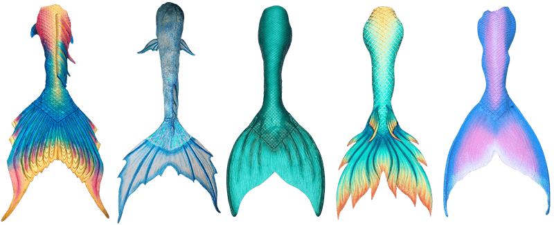 Mermaid Tail Drawing | Free download on ClipArtMag