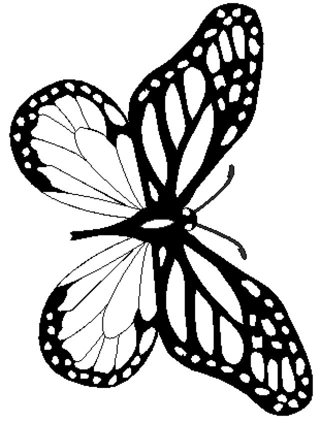 Monarch Butterfly Drawing Free download on ClipArtMag