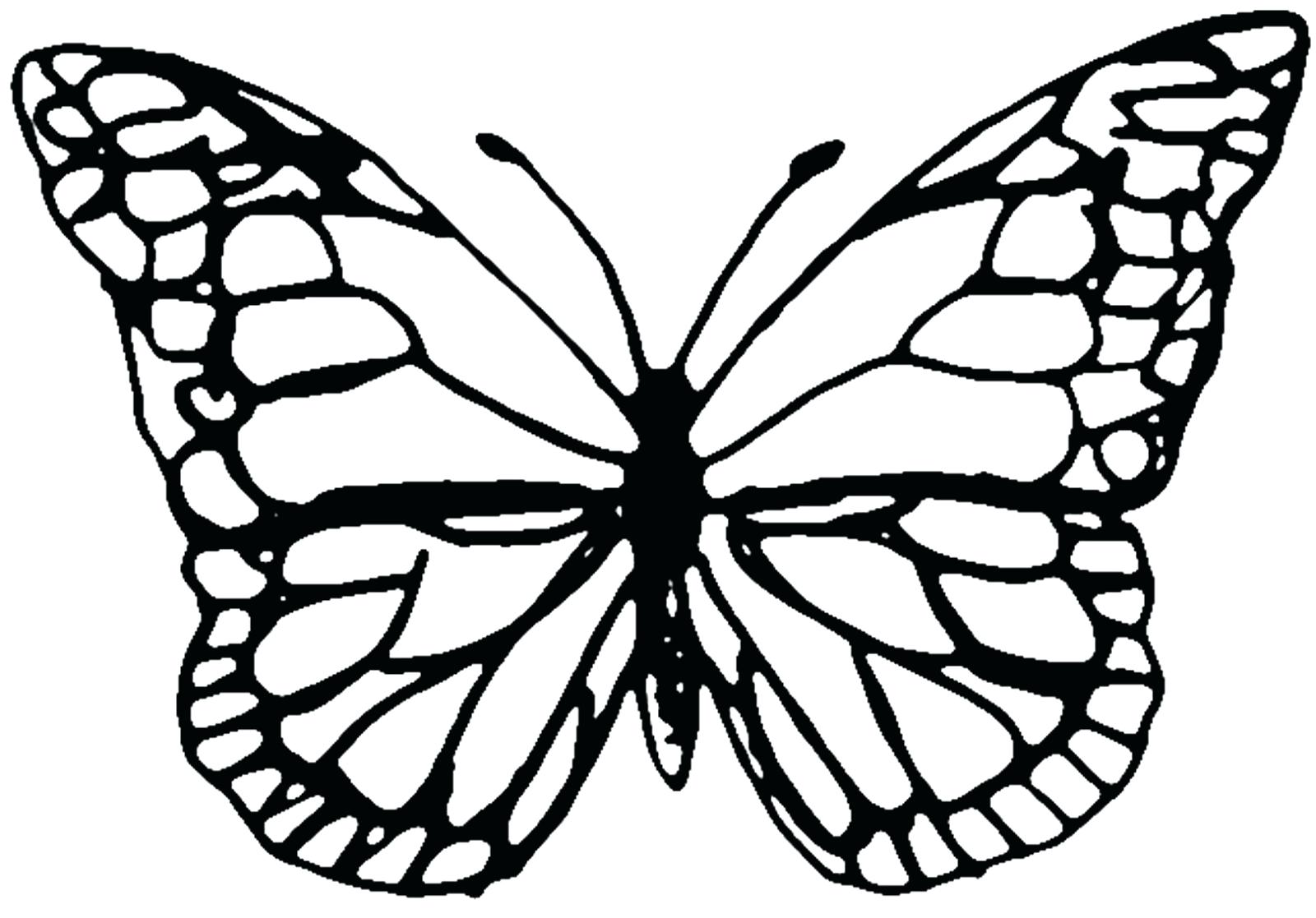 monarch-butterfly-outline-free-download-on-clipartmag