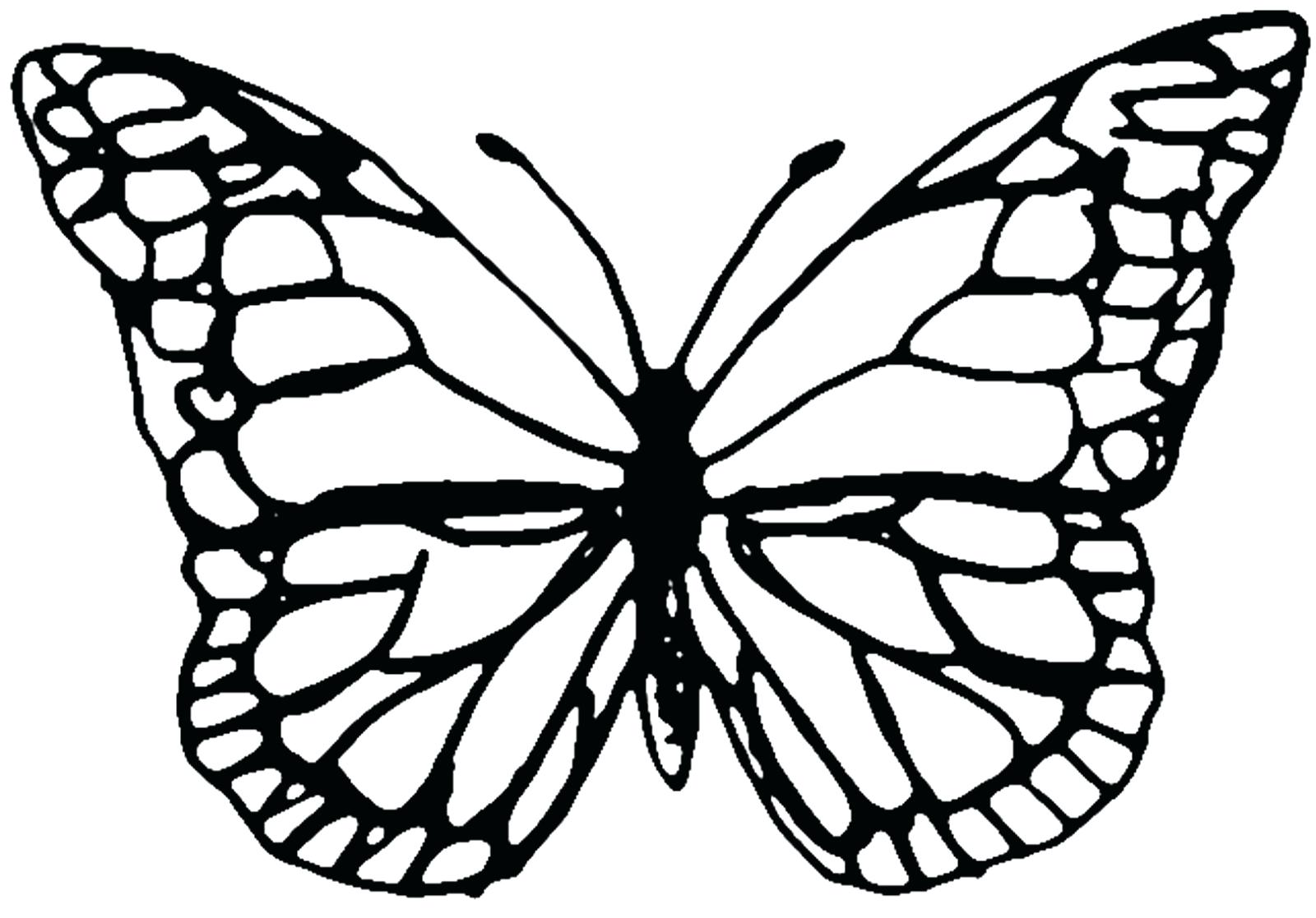 Monarch Butterfly Outline Free Download On ClipArtMag