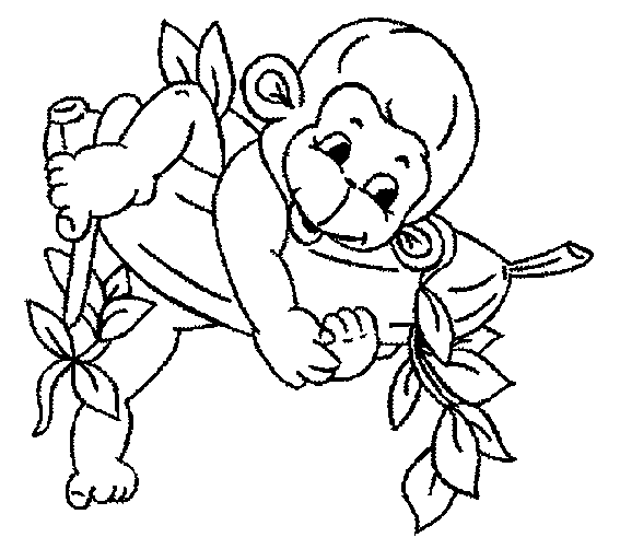 monkey coloring pages