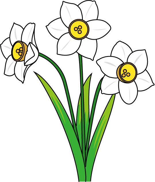 Narcissus Flower Clipart | Free download on ClipArtMag