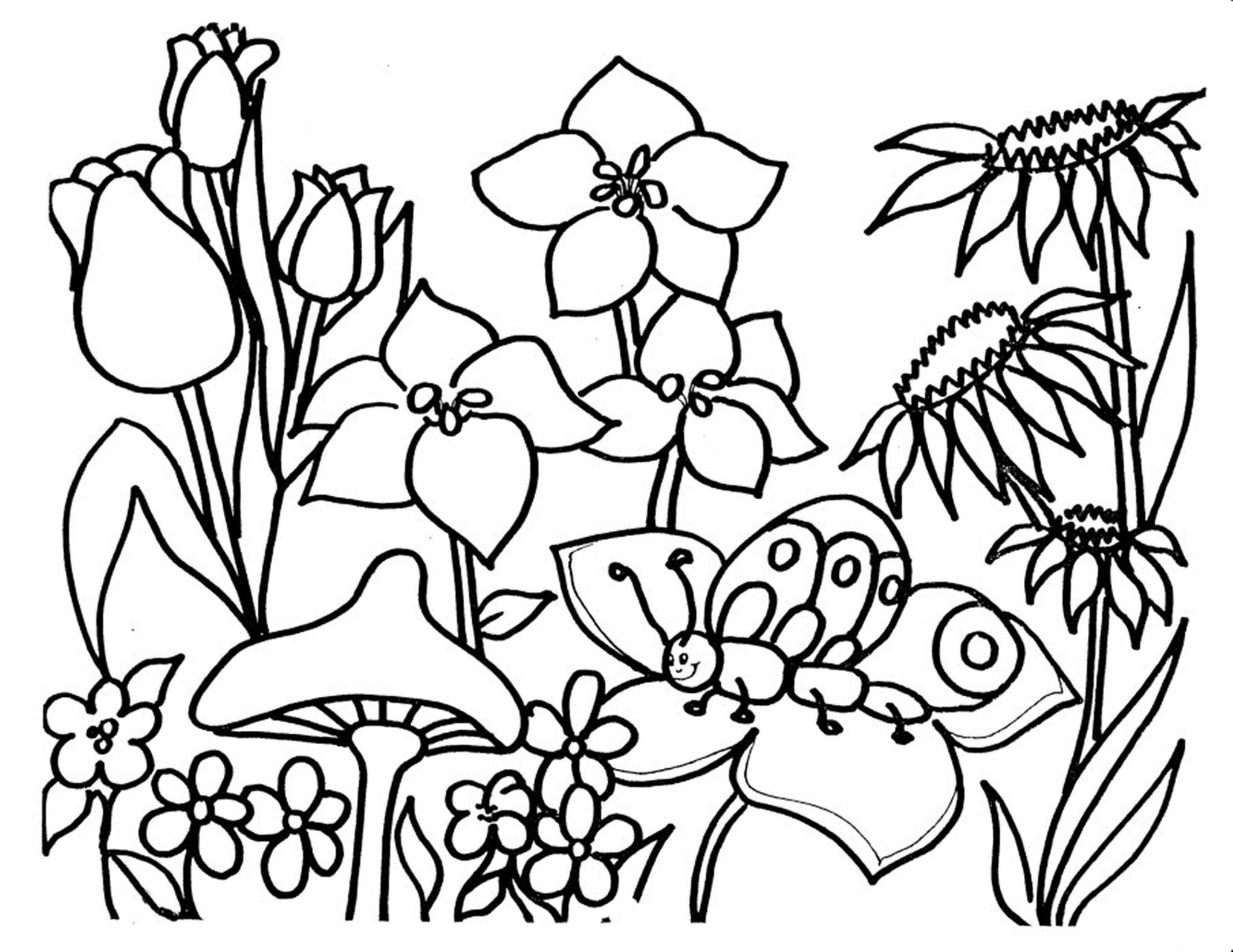 Nature Coloring Pages | Free download on ClipArtMag