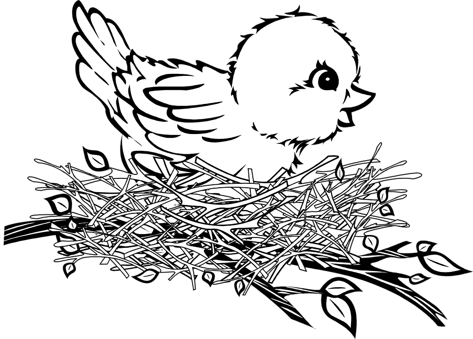 Nest Clipart Black And White | Free download on ClipArtMag