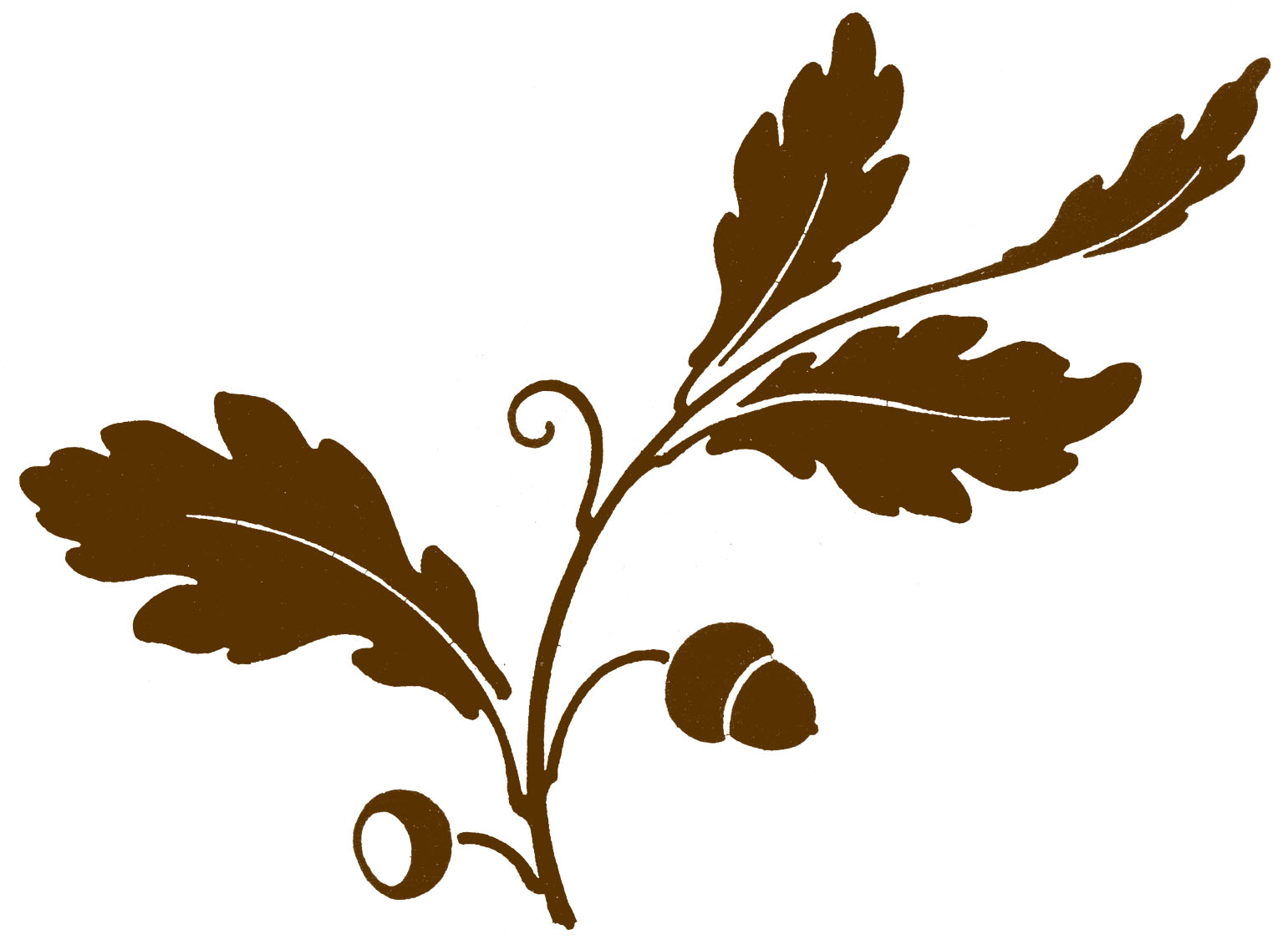 Oak Tree Clipart Black And White | Free download on ClipArtMag