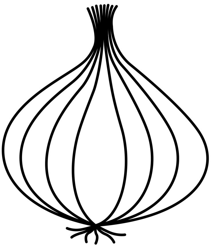 Onion Clipart Black And White | Free download on ClipArtMag