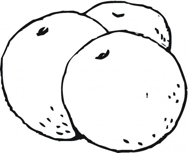 Orange Clipart Black And White Free download on ClipArtMag