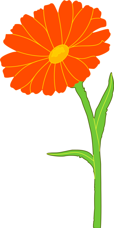 Orange Flower Clipart | Free download on ClipArtMag