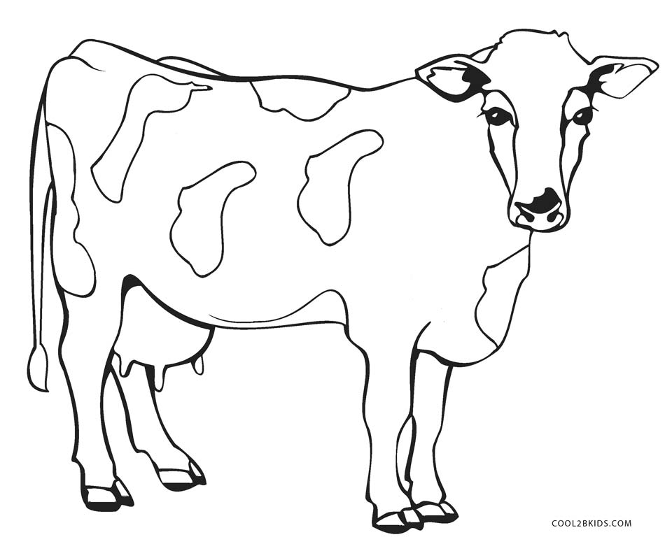 Outline Of Cow Free download on ClipArtMag